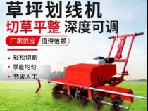 點(diǎn)擊查看詳細(xì)信息<br>標(biāo)題：草皮劃線機(jī) 閱讀次數(shù)：2439